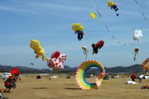 국제 연 축제 경북 의성에서 펼쳐진다