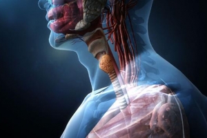 완치율 98% ‘착한 암’… 갑상선 과잉 치료 딜레마