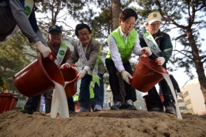 막걸리 먹는 소나무