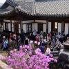 상춘객 불러모은 낙선재 꽃향기