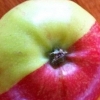 돌연변이 사과 “두 얼굴의 사과” 페인트 칠한 것 아냐? 자세히 보니 ‘충격’