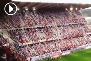 벨기에 축구 경기장에 펼쳐진 ‘화장지 눈사태’ 화제