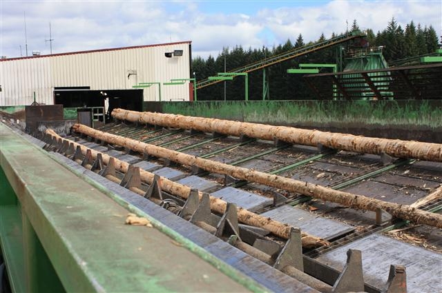 카인가로아 경영림 운영업체인 팀버랜드가 운영하는 세계 유일의 나무공장(KPP). 이곳에서는 가지치기한 목재를 옮겨 와 밀도와 용도에 맞춰 절단하는 등 부가가치를 높이는 작업들이 자동으로 진행된다.
