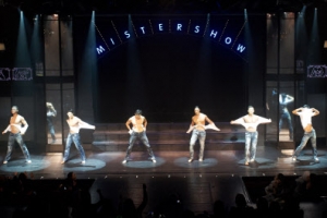 본능의 시간인가, 욕망의 장사인가… 여자들만 보는 ‘미스터쇼’