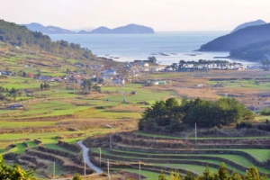 청산도 구들장 논·제주 밭담 세계농업유산에 국내 첫 등재