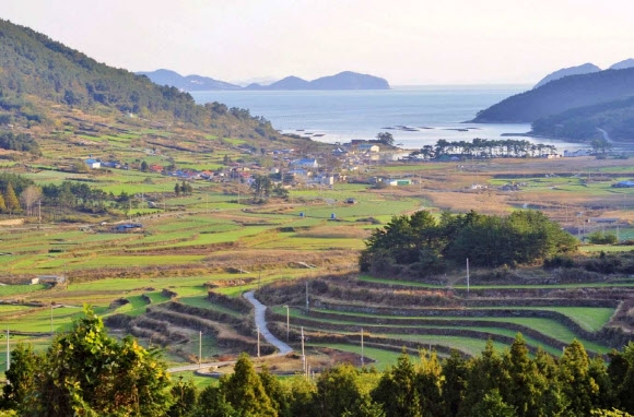 청산도 구들장 논