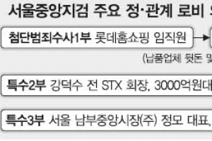檢 ‘정·관계 로비’ 동시 수사… 국민신뢰 되찾나