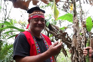 타이완을 껴안은 산맥들… 그 속에 숨은 역사의 속살