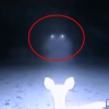 UFO 출현? 숲에서 둥둥 떠다니는 ‘빛’ 카메라에 포착