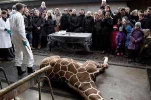 당신들 돈벌이 위해 날 죽일 권리가 있나요