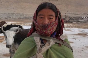 동충하초 찾아 히말라야 넘는 네팔인들의 삶