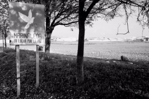 유토피아? 공산주의 실험?    스페인 남부 마을의    ‘이상한’ 협동조합을 가다