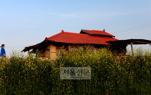 영화 ‘천년학’(2006)의 주막집 세트장. 회진 해안가에 있다.