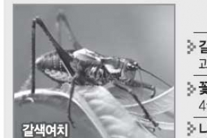 “이상고온에 해충 확산”… 농가 방제 비상