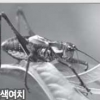 “이상고온에 해충 확산”… 농가 방제 비상