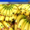 바나나전염병, 바나나 앞으로 비싸진다? ‘멸종 위기설 갑자기 왜?’