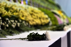 북한 조의 표명 “세월호 승객 사망·실종에 심심한 위로의 뜻”