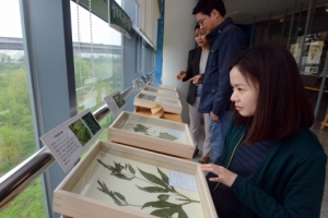 창밖의 자생식물, 표본으로 만나요