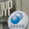 국제영상·JYP 계좌추적…금감원, 유병언 장남 건설업체 트라이곤코리아와 연관성 조사