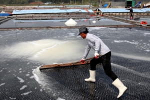 미네랄 풍부한 태안 천일염