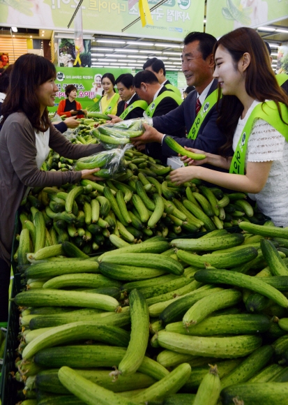 ‘오이데이’ 앞두고 오이 할인 행사