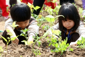 저도 어엿한 도시 농부랍니다