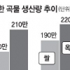 北 쌀 생산 안정세
