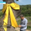 김미화 남편 윤승호 교수 ‘노란 리본 달기 캠페인’ 중 “발달장애 아들…”