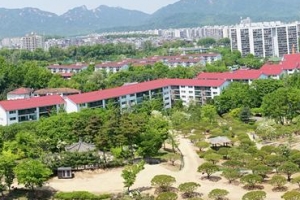 더위는 도봉구 반송 그늘에서