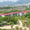 더위는 도봉구 반송 그늘에서
