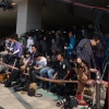 유병언 소환 불응… 구원파 총동원 태세
