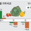 채소가격 크게 떨어져도 끄떡없는 친환경 농산물