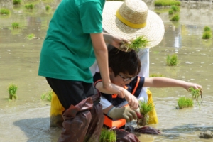 논이 날 안놔줘…