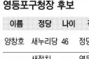 [6·4 지방선거 판세 분석-서울시 기초단체장] 영등포구