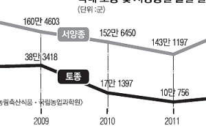 [커버스토리-양봉에 빠진 달콤한 도시] 생태계 복원 ‘生生’… 중금속 오염 ‘벌벌’