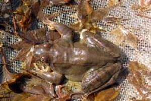 이럴 水가… 서울에도 1급 청정수 ‘졸졸’