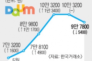 [증시 전망대] 다음 합병효과 제동… 상승·조정 ‘갈림길’