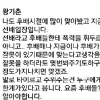 왕기춘 체벌 옹호 논란…‘용인대 대신 전해드립니다’ 페이스북 페이지 댓글