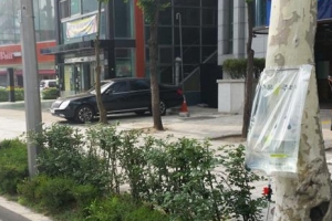 나무 살아나라!