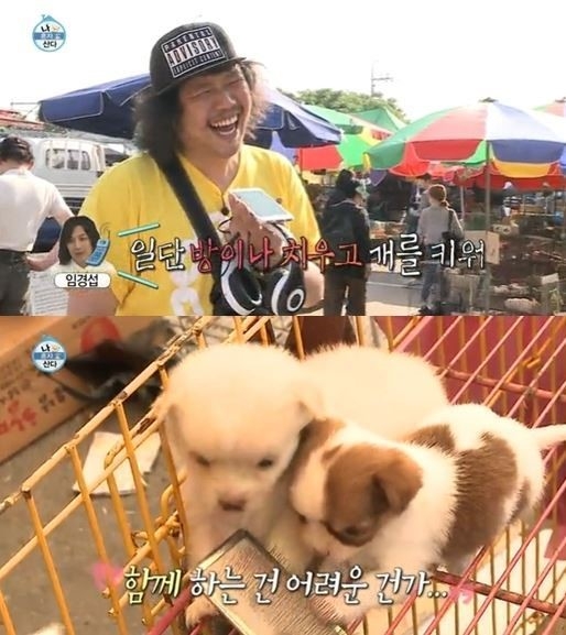 모란시장 강아지