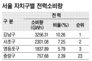 강남구, 25개 자치구 중 전기사용 1위