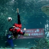 축구대표팀 선전 기원합니다