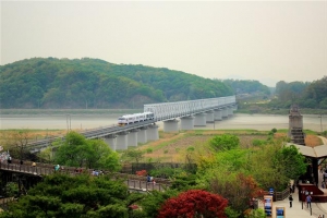 DMZ 트레인 인기