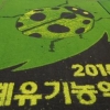 괴산군 대형 논그림 올해도 선보인다