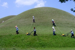 경주 왕릉 잡초 깎기