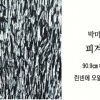 [그림과 詩가 있는 아침] 종유석과 석순/김주대