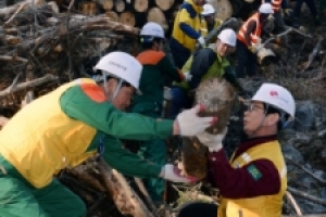 7년 만에 북한산서 재선충 발견 ‘비상’