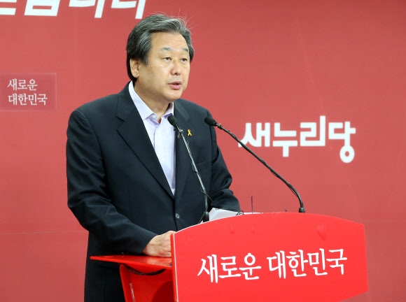 김무성 의원 기자회견