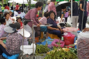 [사투리 뉴스] 충남 예산군 대흥면 ‘의좋은 형제 장터’