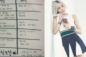 효민 4kg 감량 다이어트 식단표 공개